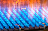 Glendoick gas fired boilers